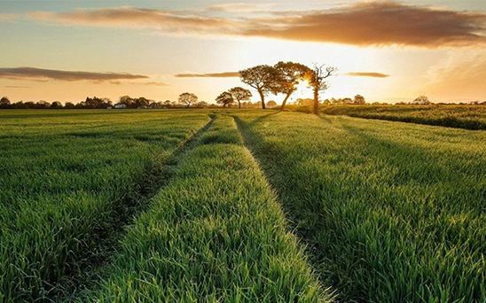 河南省委书记王国生壹号娱乐官网调研